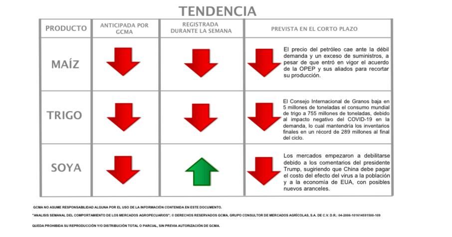 Odoo • Image and Text