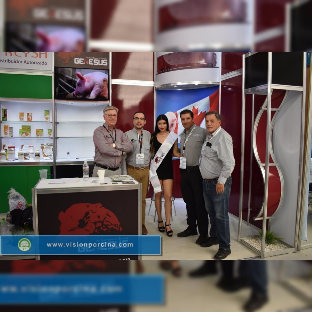 Odoo - Prueba 3 a tres columnas